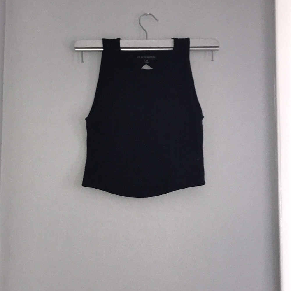 P.S Erin Wasson Crop Top
